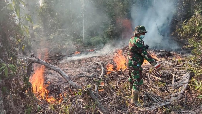 Karhutla di Lingga Hanguskan 400 Hektare Lahan, Status Naik Jadi Tanggap Darurat